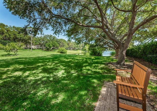 view of yard with a water view