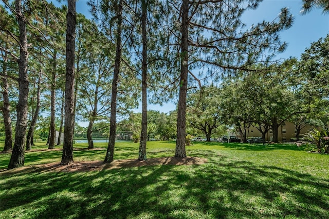 2690 Coral Landings Blvd Unit 722, Palm Harbor, FL 34684 - view of green lawn