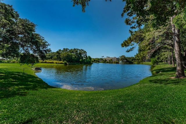 2690 Coral Landings Blvd Unit 722, Palm Harbor, FL 34684 - water view