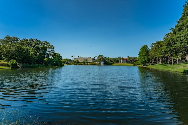 2690 Coral Landings Blvd Unit 722, Palm Harbor, FL 34684 - water view