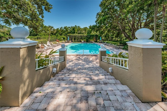 2690 Coral Landings Blvd Unit 722, Palm Harbor, FL 34684 - outdoor pool with a patio and view of wooded area