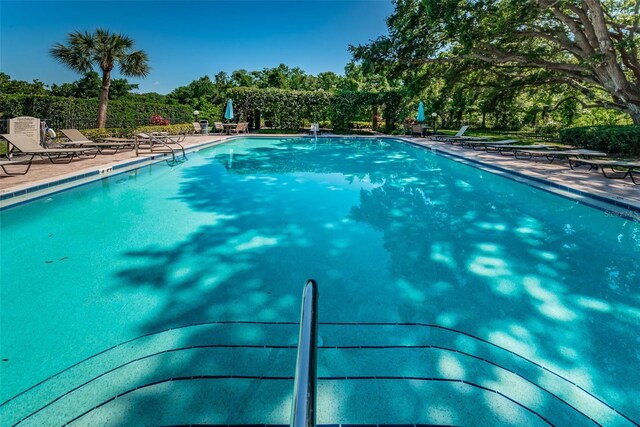2690 Coral Landings Blvd Unit 722, Palm Harbor, FL 34684 - community pool featuring a patio and view of wooded area