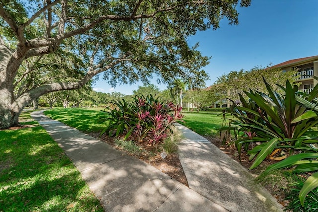 2690 Coral Landings Blvd Unit 722, Palm Harbor, FL 34684 - surrounding community with a lawn