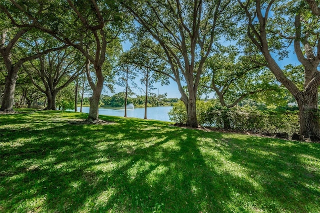 2690 Coral Landings Blvd Unit 722, Palm Harbor, FL 34684 - view of grassy yard featuring a water view