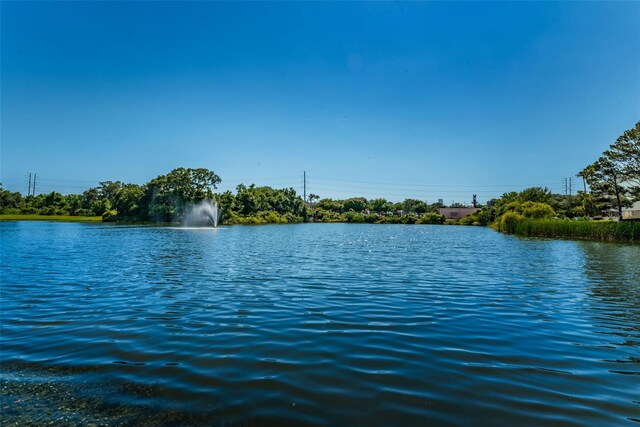 2690 Coral Landings Blvd Unit 722, Palm Harbor, FL 34684 - water view