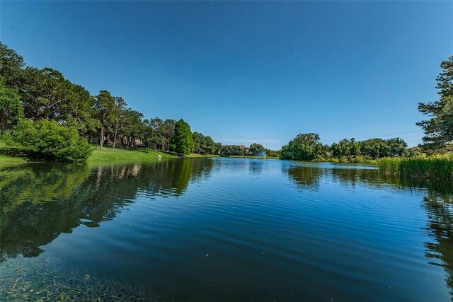 2690 Coral Landings Blvd Unit 722, Palm Harbor, FL 34684 - water view