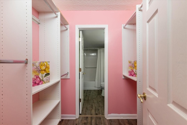 spacious closet featuring dark wood-type flooring