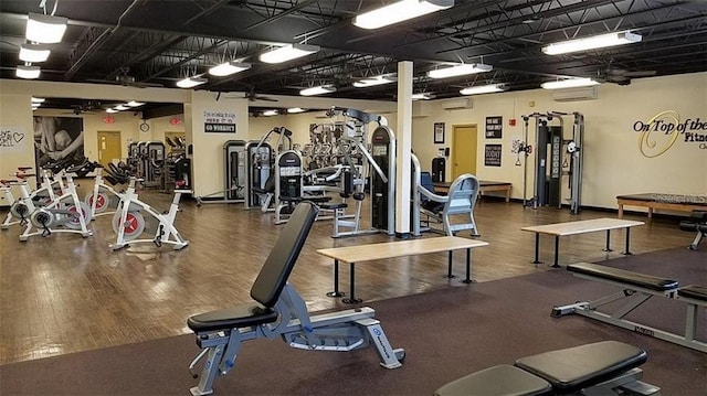 workout area featuring dark hardwood / wood-style flooring