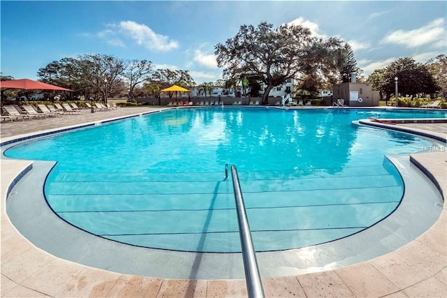 view of swimming pool with a patio