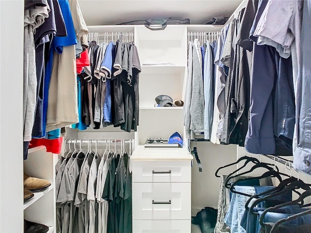 view of walk in closet