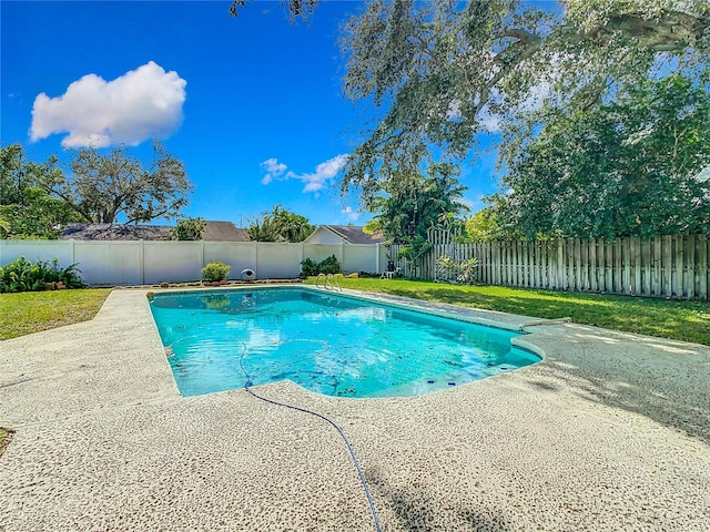 view of pool featuring a patio and a yard