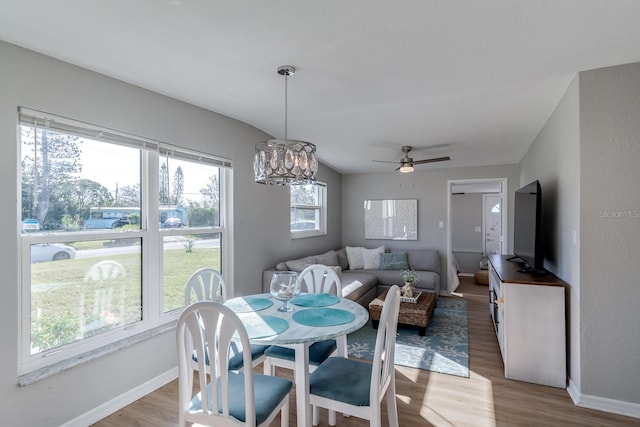 dining room featuring ceiling fan with notable chandelier, plenty of natural light, and light hardwood / wood-style flooring