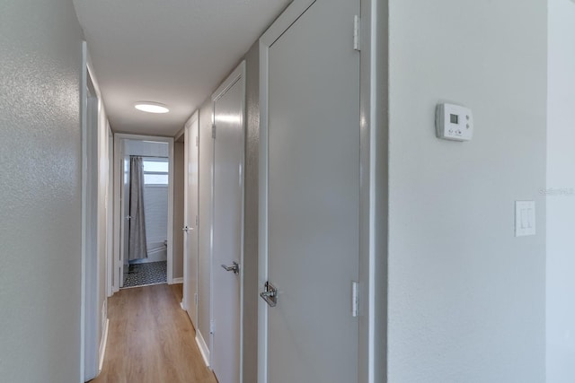 hall with light hardwood / wood-style flooring