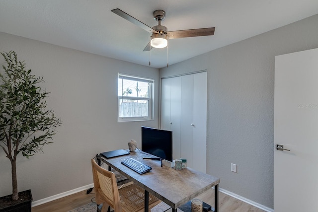 office space with ceiling fan and light hardwood / wood-style flooring