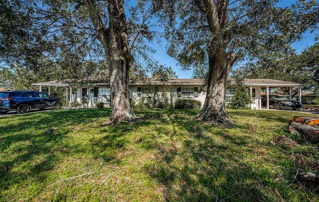 view of yard featuring a carport