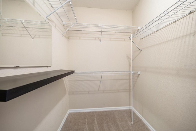 walk in closet with carpet floors