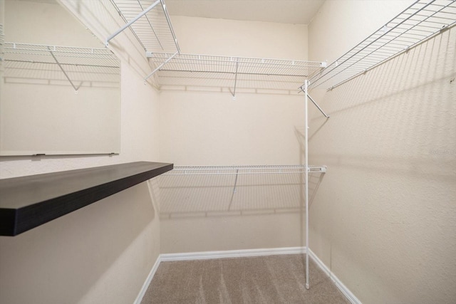5000 Culbreath Key Way Unit 1-203, Tampa, FL 33611 - walk in closet featuring carpet