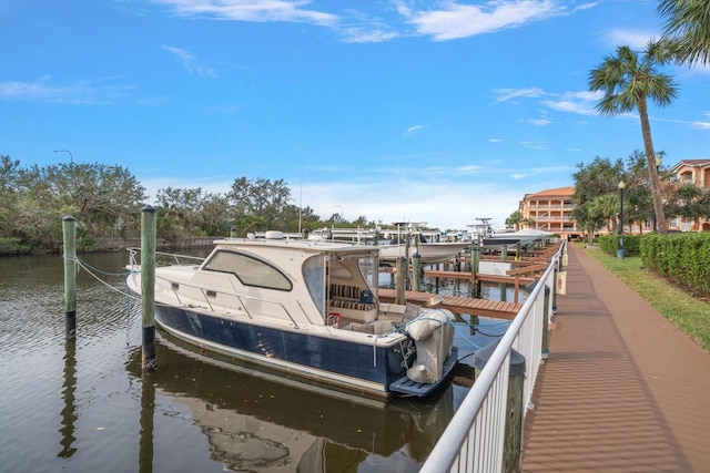 dock area with a water view