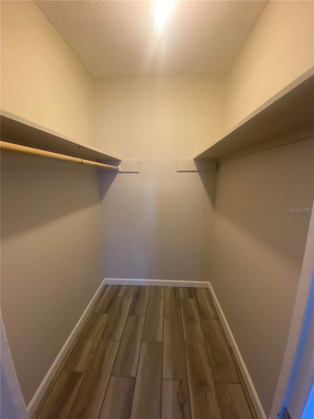 walk in closet with dark hardwood / wood-style flooring