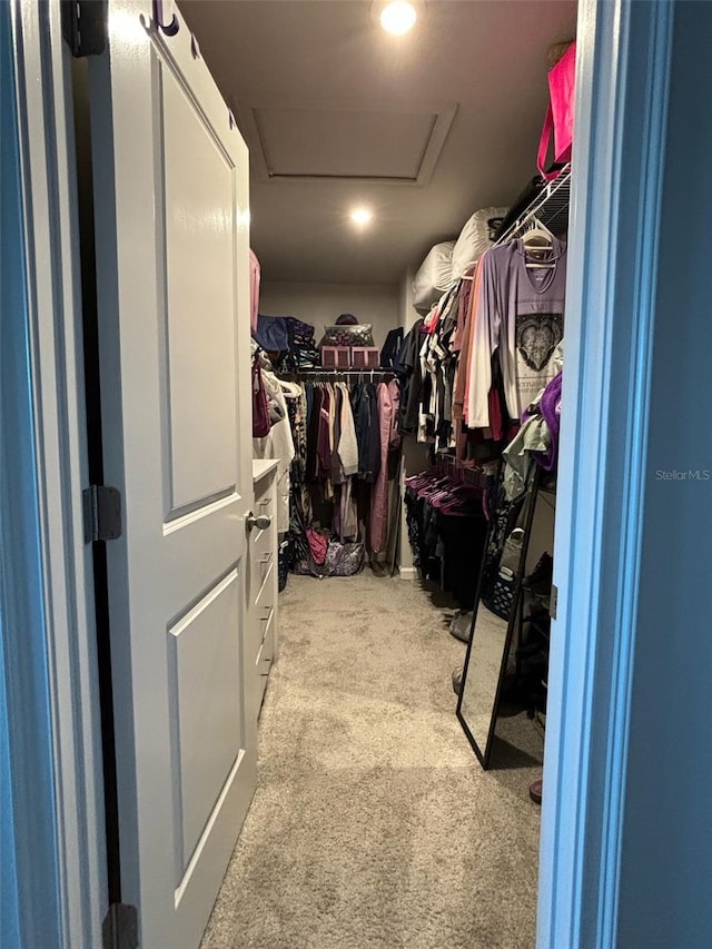 spacious closet featuring light colored carpet