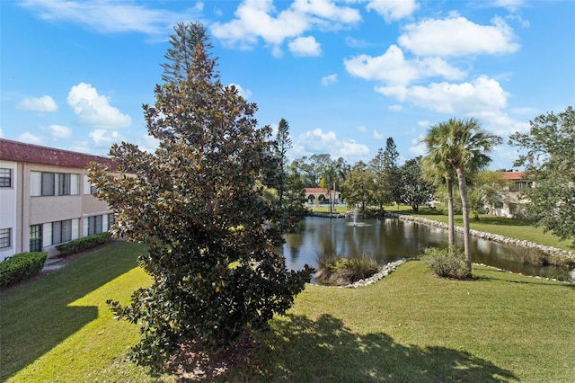 view of water feature