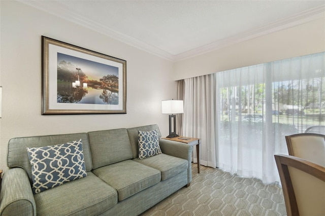 living room featuring ornamental molding