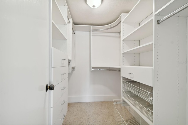 view of walk in closet