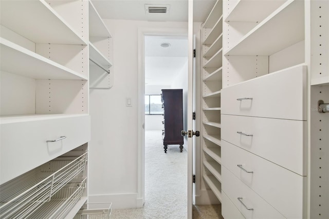 spacious closet with carpet floors