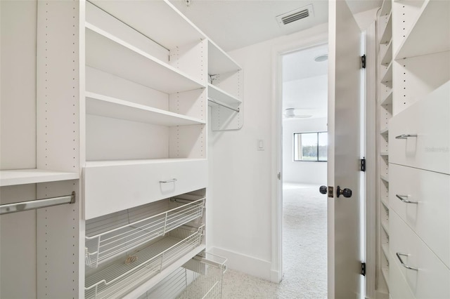 spacious closet with carpet floors