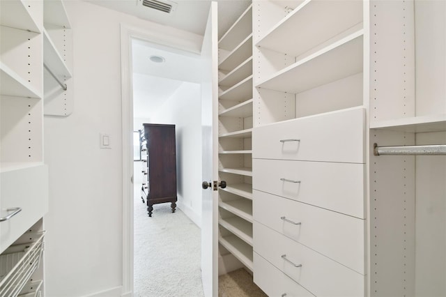 spacious closet featuring visible vents and carpet floors