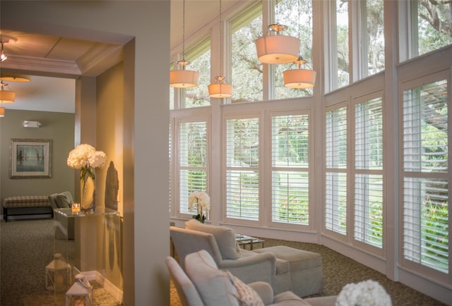 sunroom / solarium featuring carpet floors, ornamental molding, and a healthy amount of sunlight