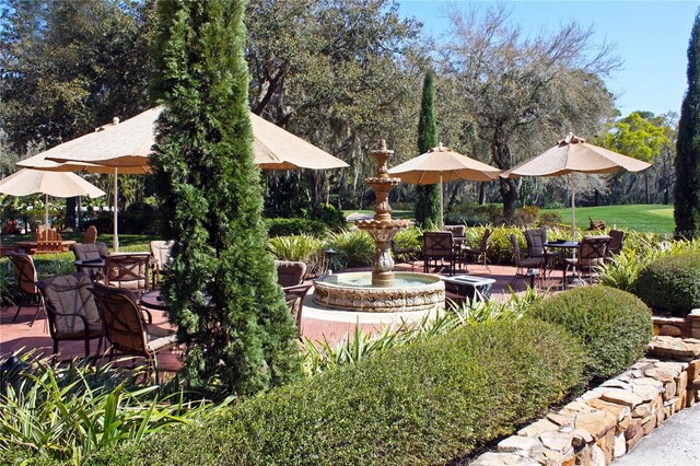 view of yard with a patio