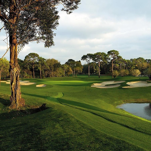 surrounding community with a water view, golf course view, and a yard