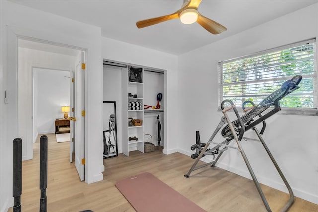 workout area with light hardwood / wood-style floors and ceiling fan