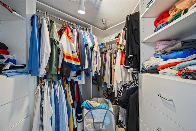 view of spacious closet