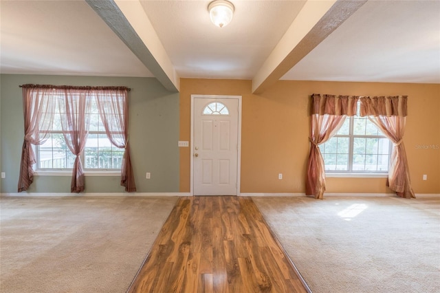 foyer entrance with hardwood / wood-style floors