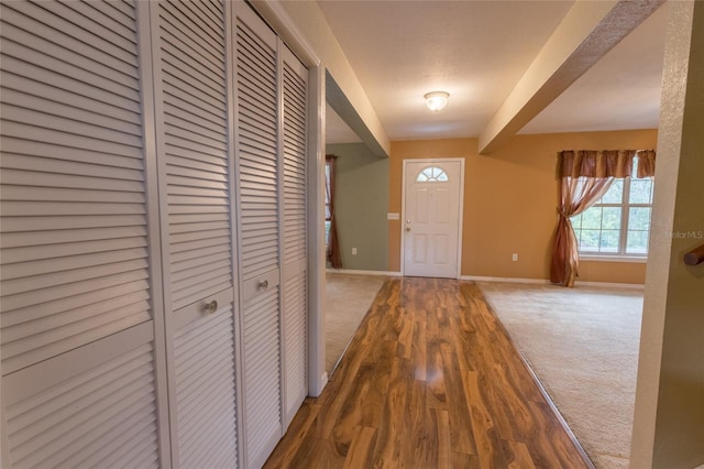 interior space featuring wood-type flooring