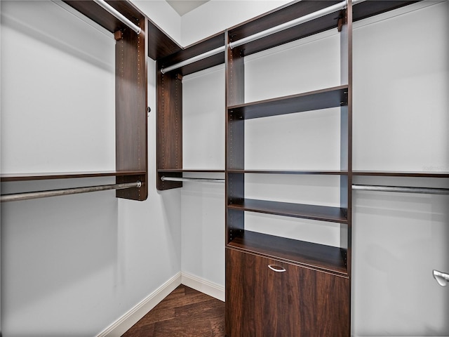 walk in closet featuring dark wood-type flooring