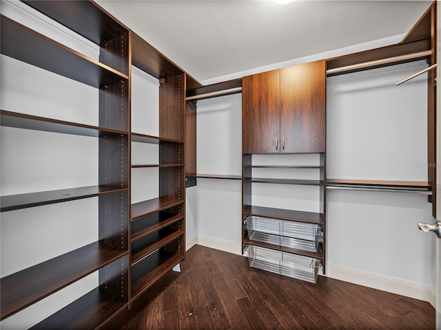 walk in closet with wood finished floors