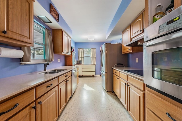 kitchen with appliances with stainless steel finishes, a wealth of natural light, and sink