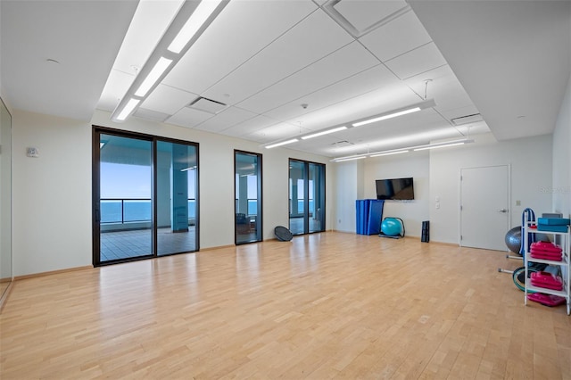 workout room featuring light hardwood / wood-style floors