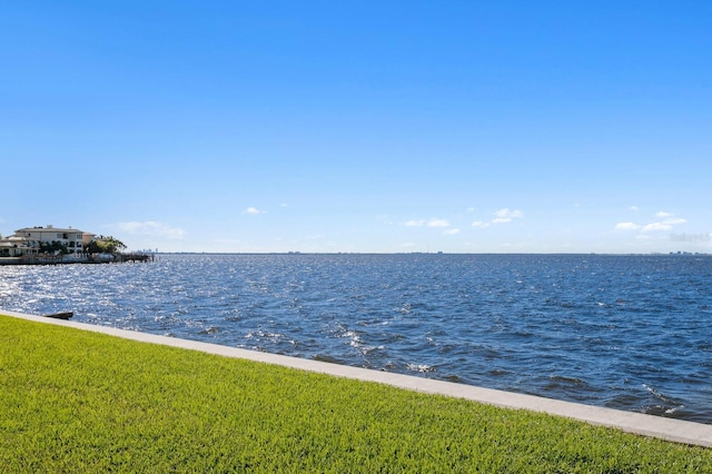 5033 W San Miguel St, Tampa, FL 33629 - photo 12