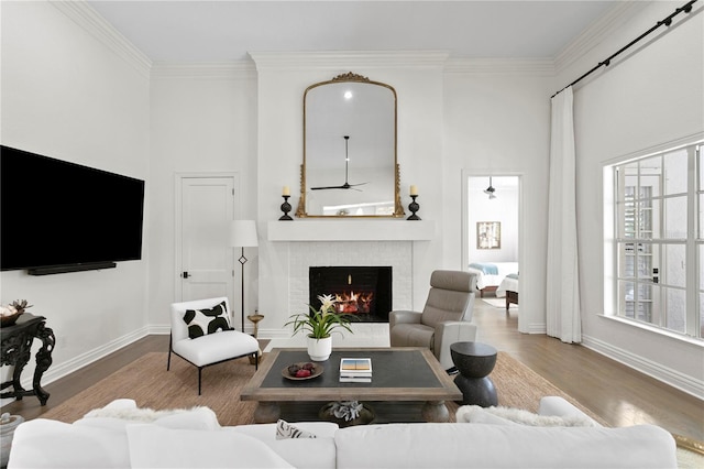 living room featuring ornamental molding, hardwood / wood-style floors, and a fireplace