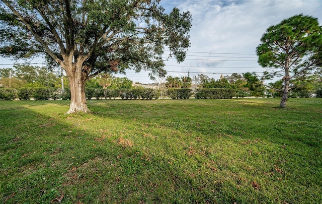 view of yard