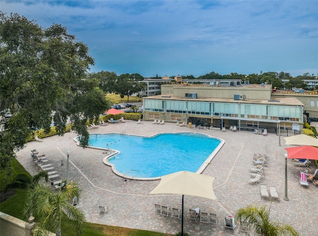 view of pool with a patio area