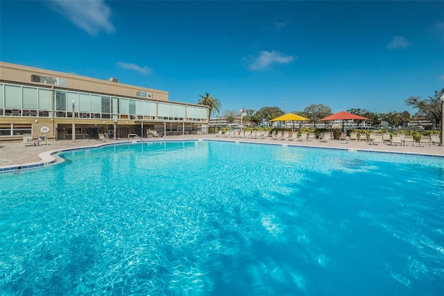 view of swimming pool with a patio area