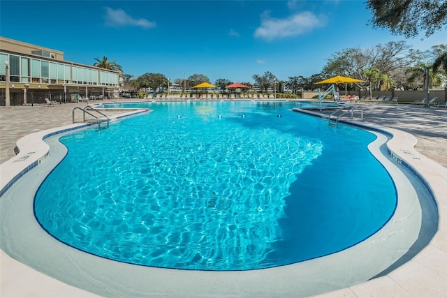 view of pool featuring a patio