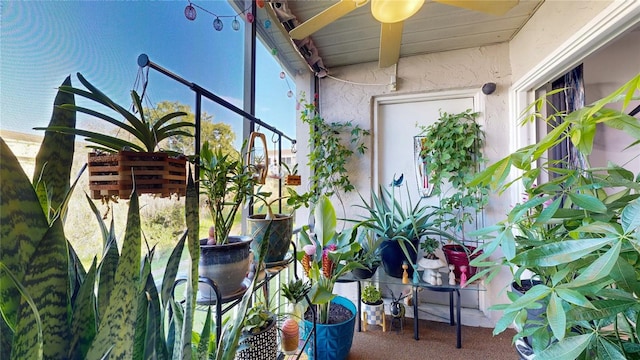 view of sunroom / solarium