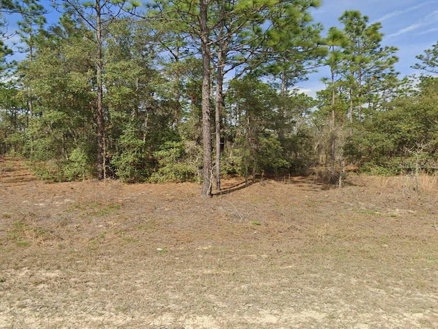 13321 SW 89th St, Dunnellon FL, 34432 land for sale