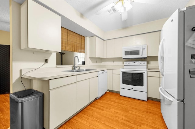 kitchen featuring a ceiling fan, white appliances, light countertops, a sink, and light wood-style flooring